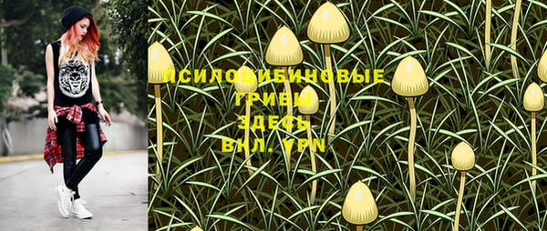 гашик Покров