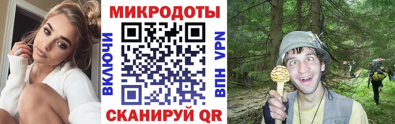 Галлюциногенные грибы GOLDEN TEACHER закладка Спасск